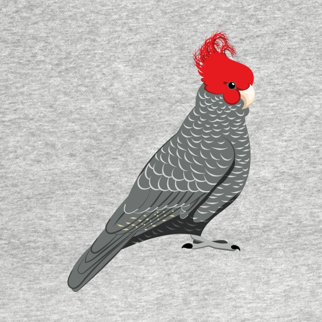 Gang gang cockatoo by Zolinstudio